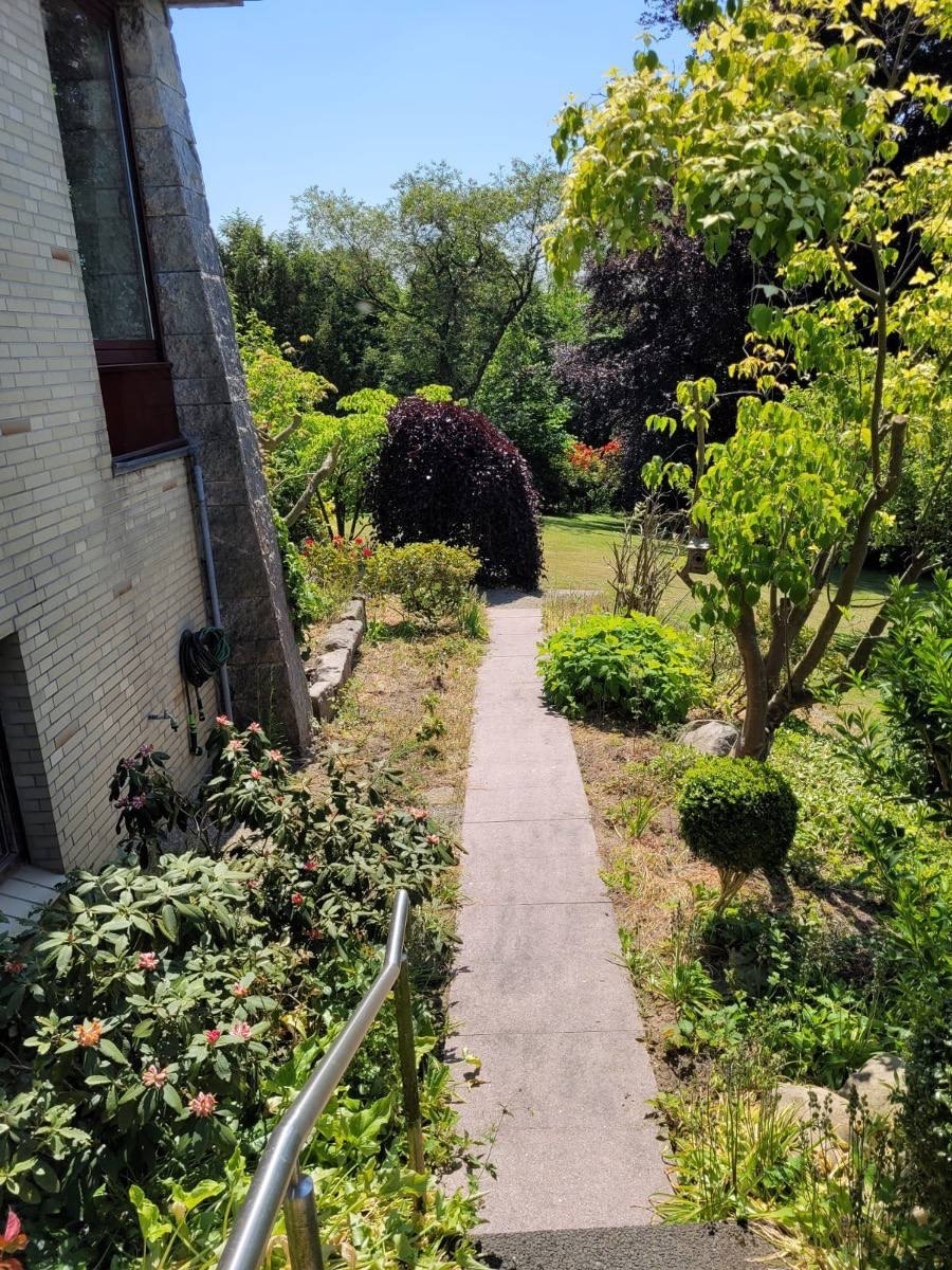 Gartenweg am Haus zwischen Rhododendren und Bäumen