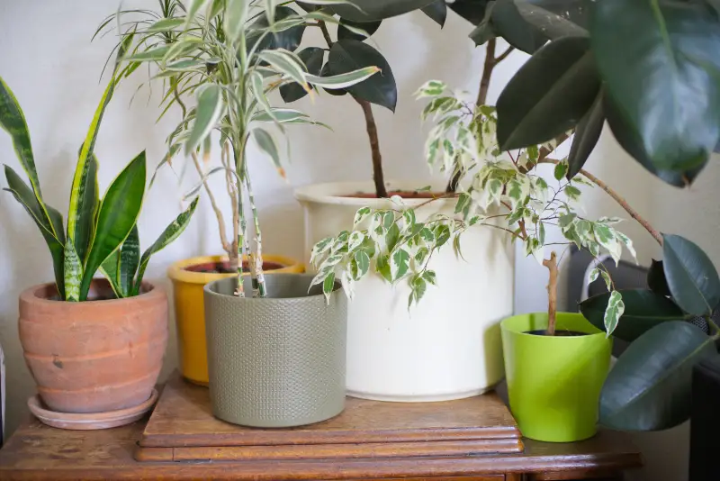 Ein frisch gemachtes Bett mit Holzgestell